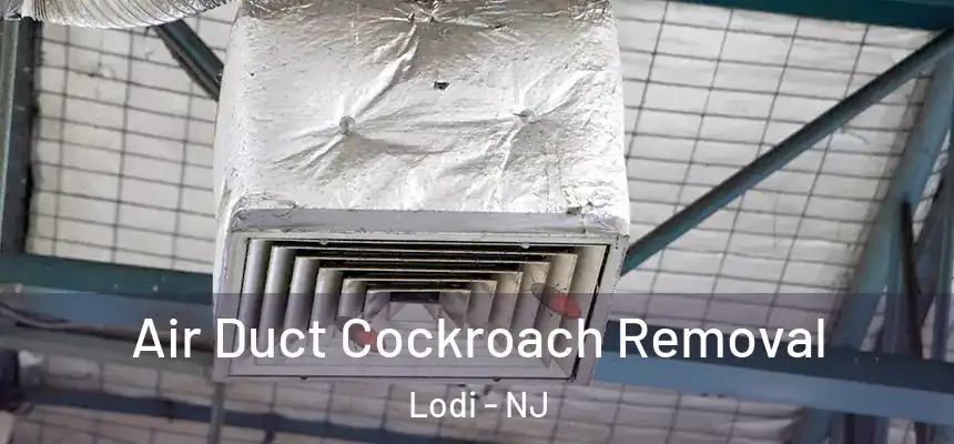  Air Duct Cockroach Removal Lodi - NJ