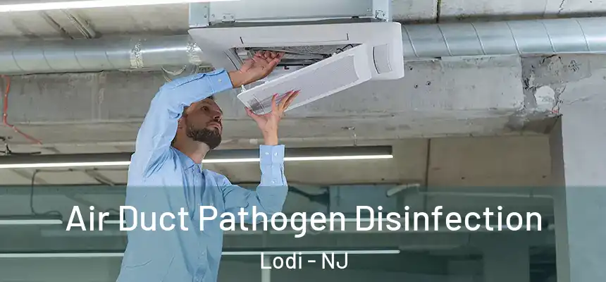  Air Duct Pathogen Disinfection Lodi - NJ