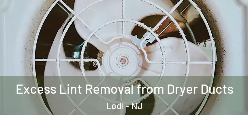  Excess Lint Removal from Dryer Ducts Lodi - NJ