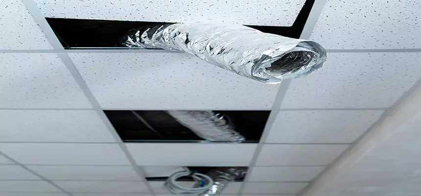 Our Air Duct Pet Hair Removal Services in Lodi, NJ