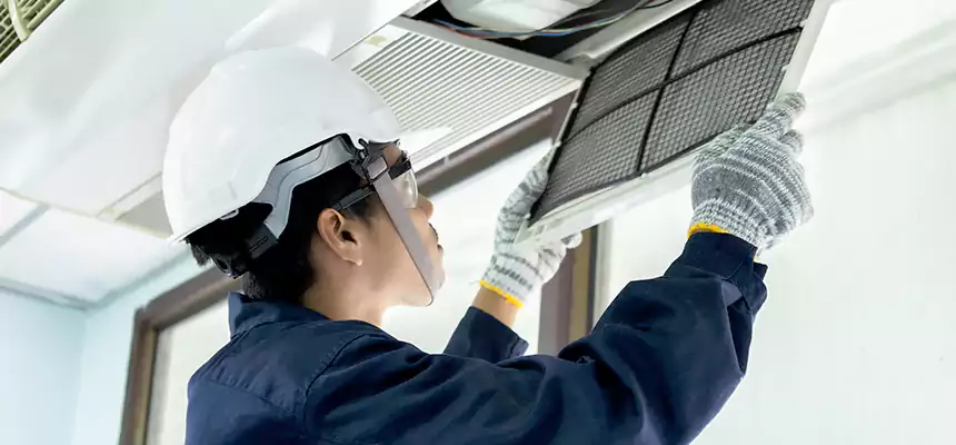 Our Mold & Mildew Removal from Air Ducts Services in Lodi, NJ