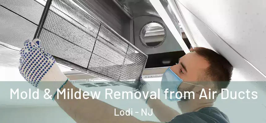  Mold & Mildew Removal from Air Ducts Lodi - NJ