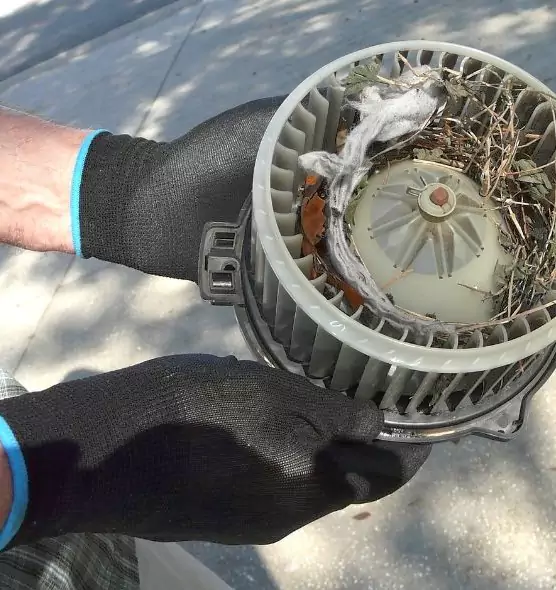 About Air Duct Mice Removal in Lodi, NJ