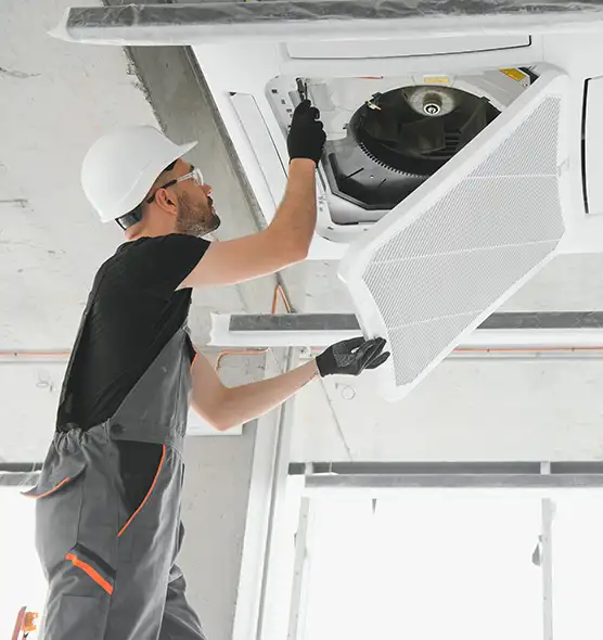 About Air Duct Rodent Removal in Lodi, NJ