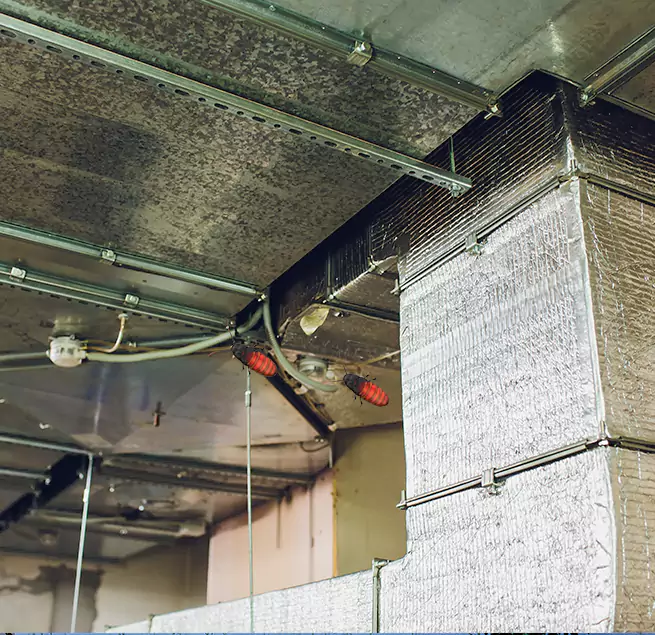 Why Homeowners & Businesses Trust Us in Lodi, NJ?