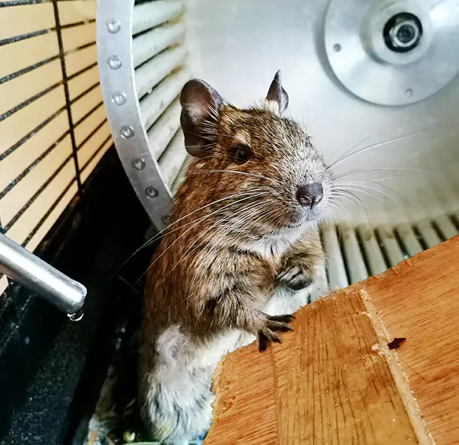 Why Homeowners & Businesses Trust Us Lodi, NJ