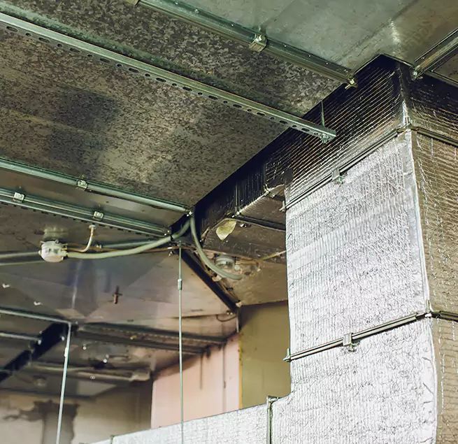 Why Homeowners & Businesses Trust Us in Lodi, NJ?